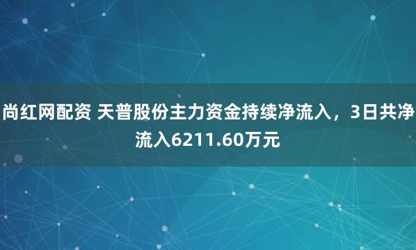 尚红网配资 天普股份主力资金持续净流入，3日共净流入6211.60万元